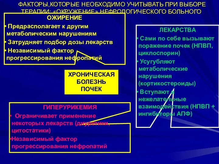 ФАКТОРЫ,КОТОРЫЕ НЕОБХОДИМО УЧИТЫВАТЬ ПРИ ВЫБОРЕ ТЕРАПИИ: «ОКРУЖЕНИЕ» НЕФРОЛОГИЧЕСКОГО БОЛЬНОГО ХРОНИЧЕСКАЯ БОЛЕЗНЬ