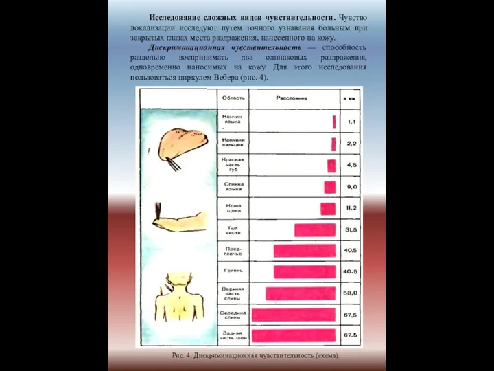 Исследование сложных видов чувствительности. Чувство локализации исследуют путем точного узнавания больным