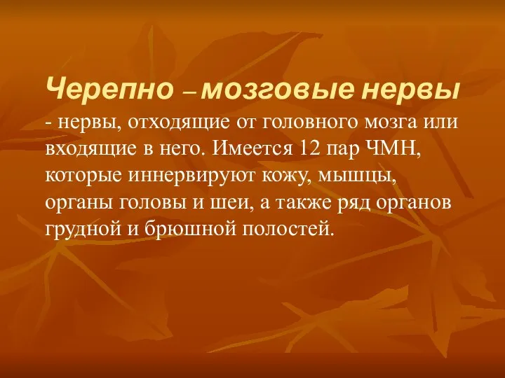 Черепно – мозговые нервы - нервы, отходящие от головного мозга или