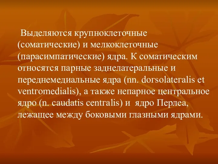 Выделяются крупноклеточные (соматические) и мелкоклеточные (парасимпатические) ядра. К соматическим относятся парные