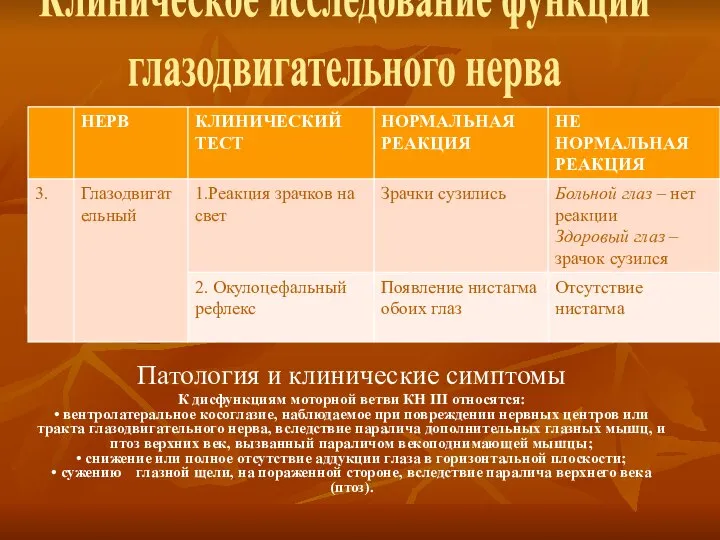 Клиническое исследование функции глазодвигательного нерва Патология и клинические симптомы К дисфункциям