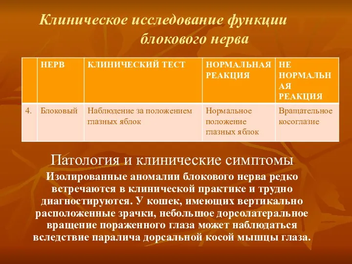 Клиническое исследование функции блокового нерва Патология и клинические симптомы Изолированные аномалии