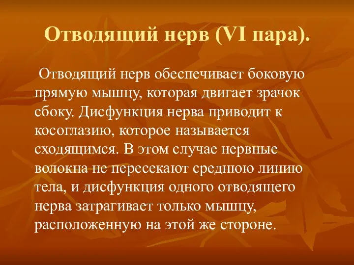 Отводящий нерв (VI пара). Отводящий нерв обеспечивает боковую прямую мышцу, которая