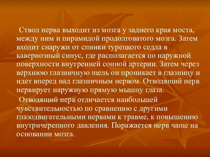 Ствол нерва выходит из мозга у заднего края моста, между ним