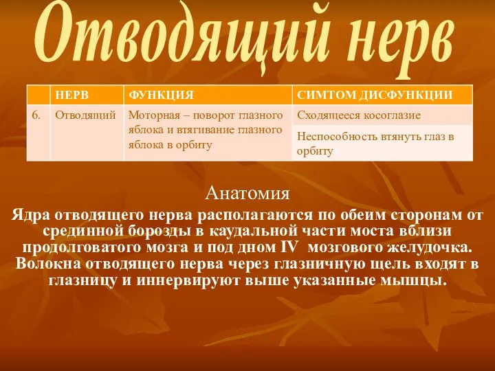 Отводящий нерв Анатомия Ядра отводящего нерва располагаются по обеим сторонам от