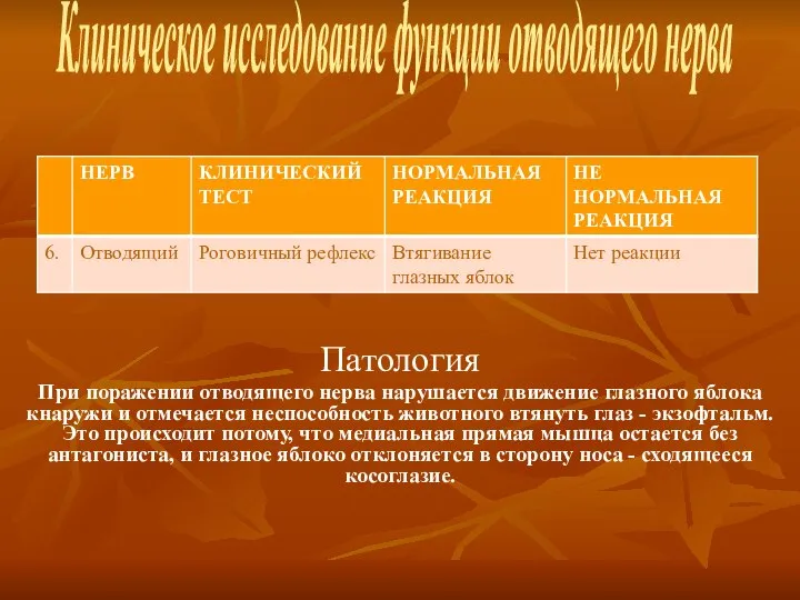 Клиническое исследование функции отводящего нерва Патология При поражении отводящего нерва нарушается