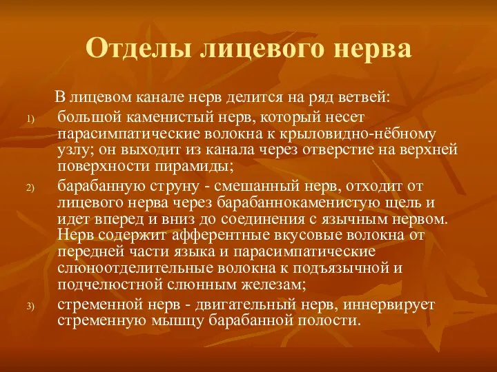 Отделы лицевого нерва В лицевом канале нерв делится на ряд ветвей: