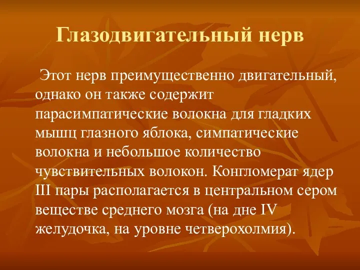 Глазодвигательный нерв Этот нерв преимущественно двигательный, однако он также содержит парасимпатические