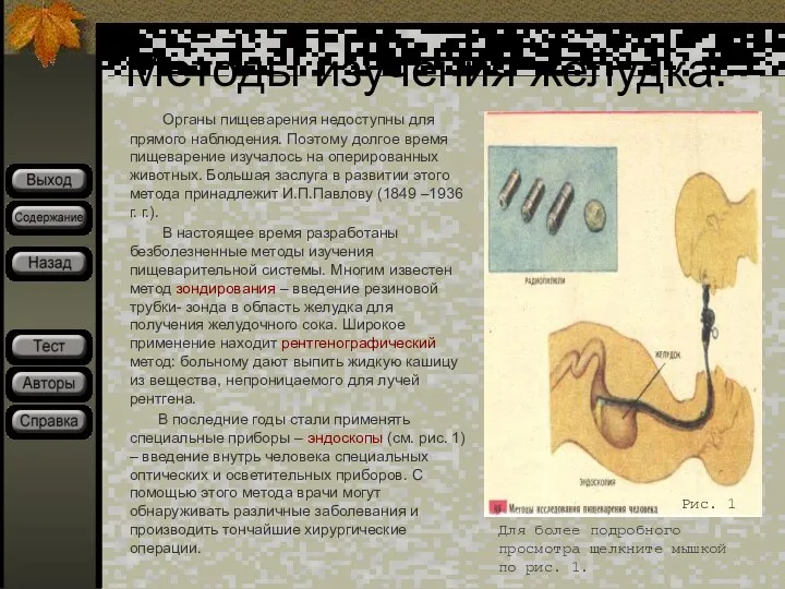 Методы изучения желудка. Органы пищеварения недоступны для прямого наблюдения. Поэтому долгое