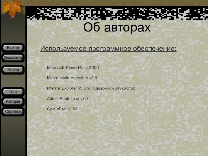 Об авторах Используемое программное обеспечение: Microsoft PowerPoint 2000 Macromedia HomeSite v5.0