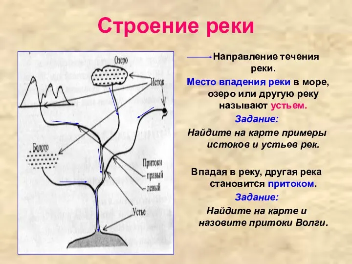 Строение реки Направление течения реки. Место впадения реки в море, озеро