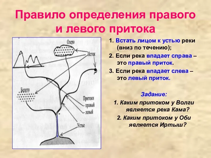 Правило определения правого и левого притока 1. Встать лицом к устью