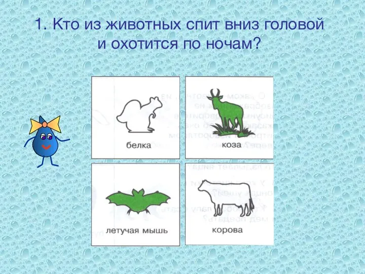 1. Кто из животных спит вниз головой и охотится по ночам?