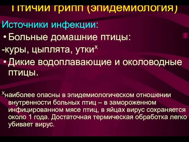 Птичий грипп (эпидемиология) Источники инфекции: Больные домашние птицы: -куры, цыплята, уткиx