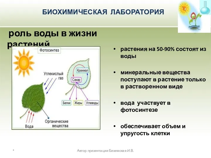 * растения на 50-90% состоят из воды минеральные вещества поступают в