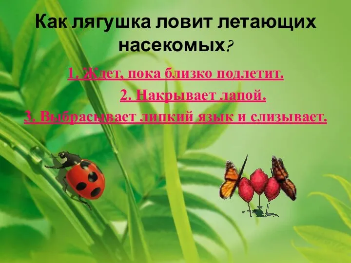 Как лягушка ловит летающих насекомых? 1. Ждет, пока близко подлетит. 2.