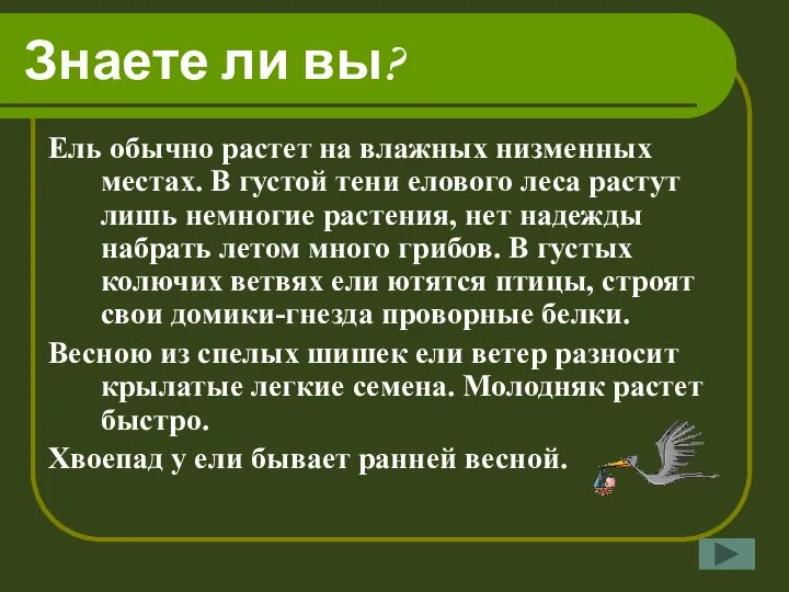 Знаете ли вы? Ель обычно растет на влажных низменных местах. В