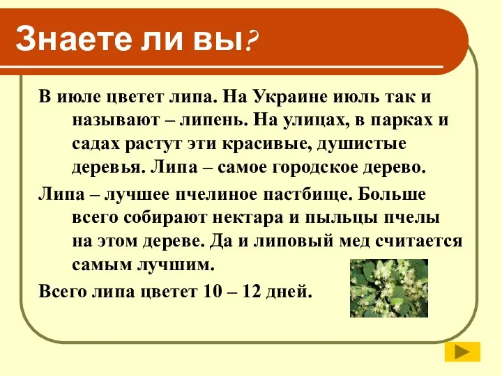 Знаете ли вы? В июле цветет липа. На Украине июль так