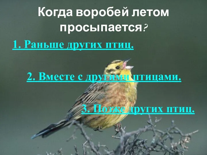 Когда воробей летом просыпается? 1. Раньше других птиц. 2. Вместе с