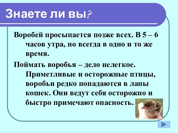 Знаете ли вы? Воробей просыпается позже всех. В 5 – 6