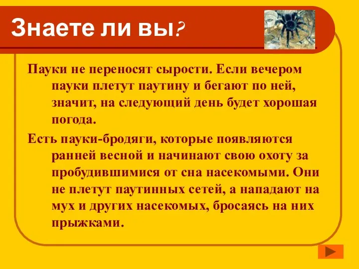 Знаете ли вы? Пауки не переносят сырости. Если вечером пауки плетут