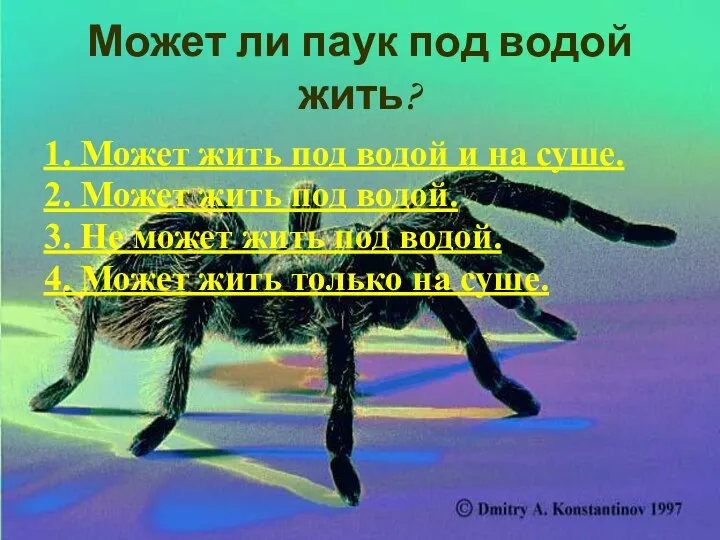 Может ли паук под водой жить? 1. Может жить под водой