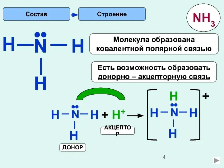 H Строение N H H •• Есть возможность образовать донорно –