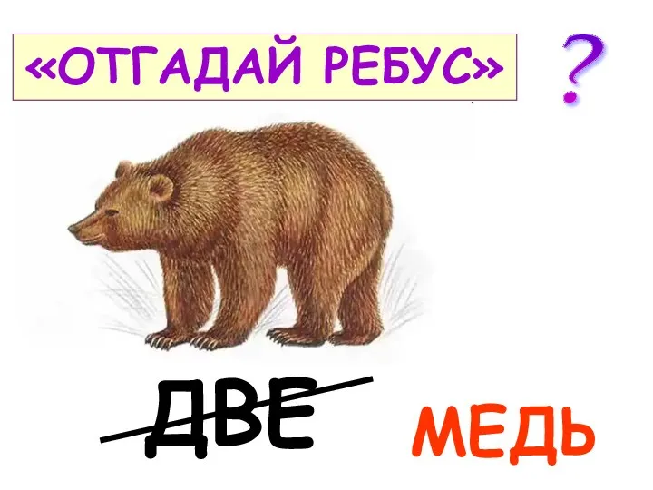 «ОТГАДАЙ РЕБУС» ДВЕ МЕДЬ ?