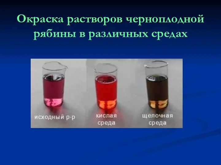 Окраска растворов черноплодной рябины в различных средах