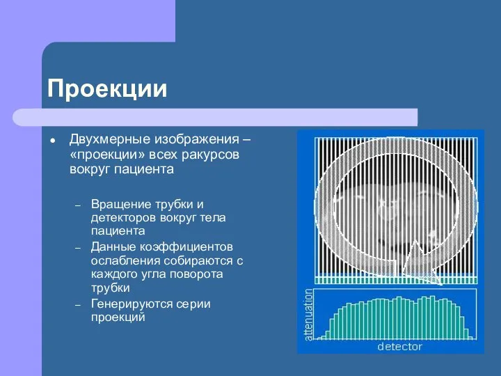 Проекции Двухмерные изображения – «проекции» всех ракурсов вокруг пациента Вращение трубки