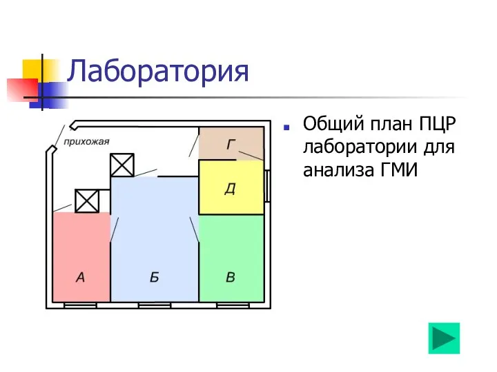 Лаборатория Общий план ПЦР лаборатории для анализа ГМИ