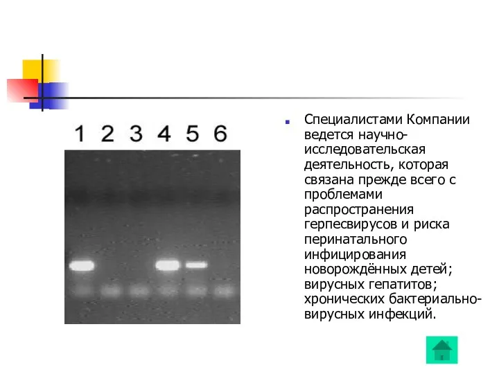 Специалистами Компании ведется научно-исследовательская деятельность, которая связана прежде всего с проблемами