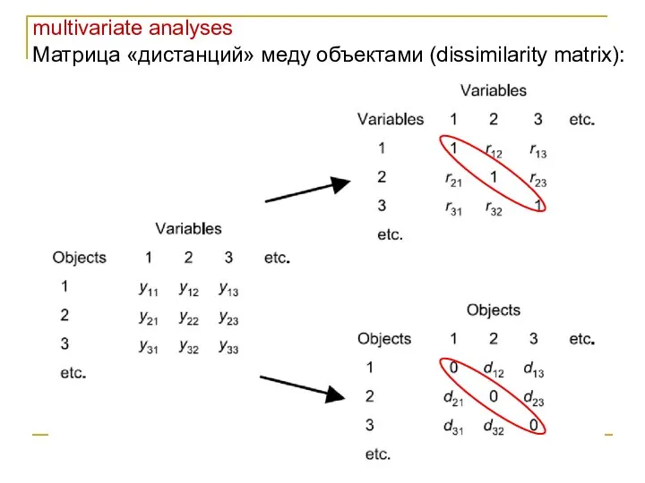 multivariate analyses Матрица «дистанций» меду объектами (dissimilarity matrix):