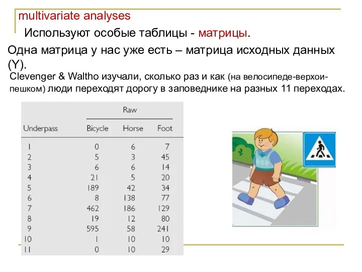 multivariate analyses Используют особые таблицы - матрицы. Одна матрица у нас