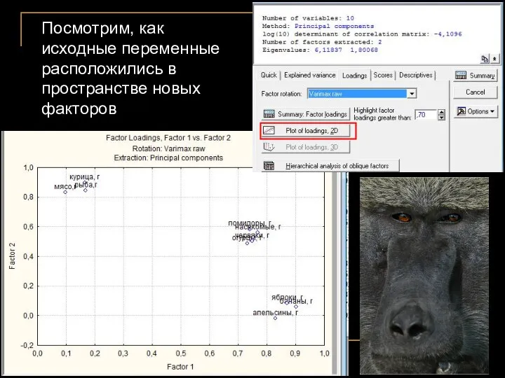 Посмотрим, как исходные переменные расположились в пространстве новых факторов