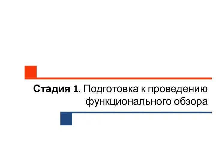 Стадия 1. Подготовка к проведению функционального обзора