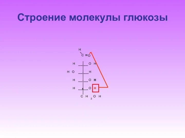 Строение молекулы глюкозы C H O O H H H H