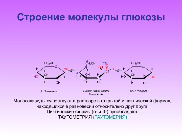 Строение молекулы глюкозы O H C O H H O O