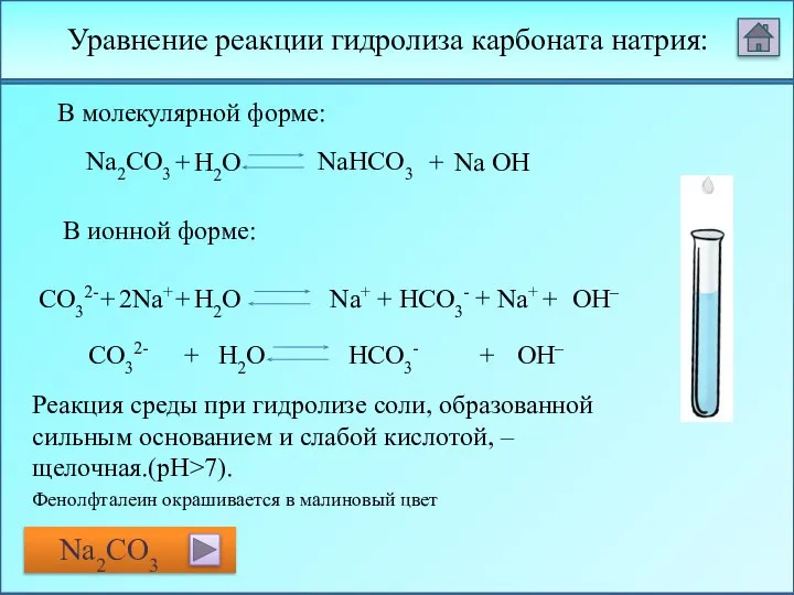 Na2CO3 + H2O NaHCO3 + CO32- + 2Na+ + H2O Na+