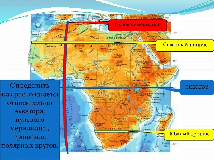 Африки. экватор Нулевой меридиан Южный тропик Северный тропик Определить -как располагается