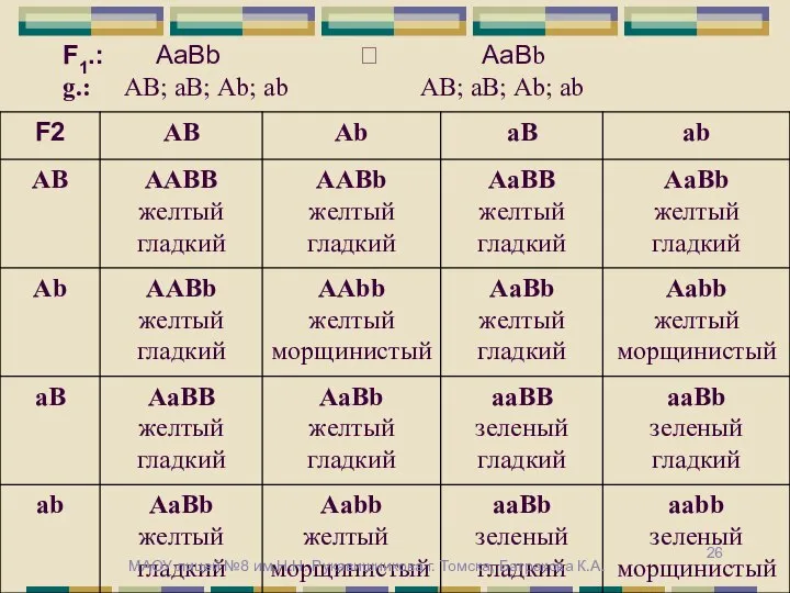 F1.: АаВb ? АаВb g.: АВ; аВ; Аb; ab АВ; аВ;