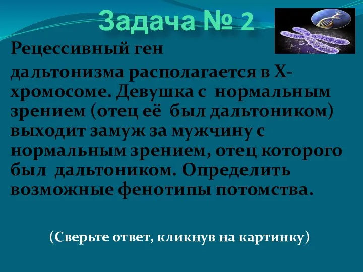 Задача № 2 Рецессивный ген дальтонизма располагается в Х- хромосоме. Девушка