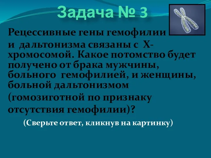 Задача № 3 Рецессивные гены гемофилии и дальтонизма связаны с Х-хромосомой.