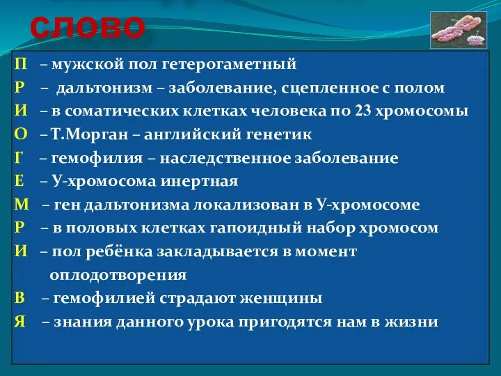 Зашифрованное слово П – мужской пол гетерогаметный Р – дальтонизм –