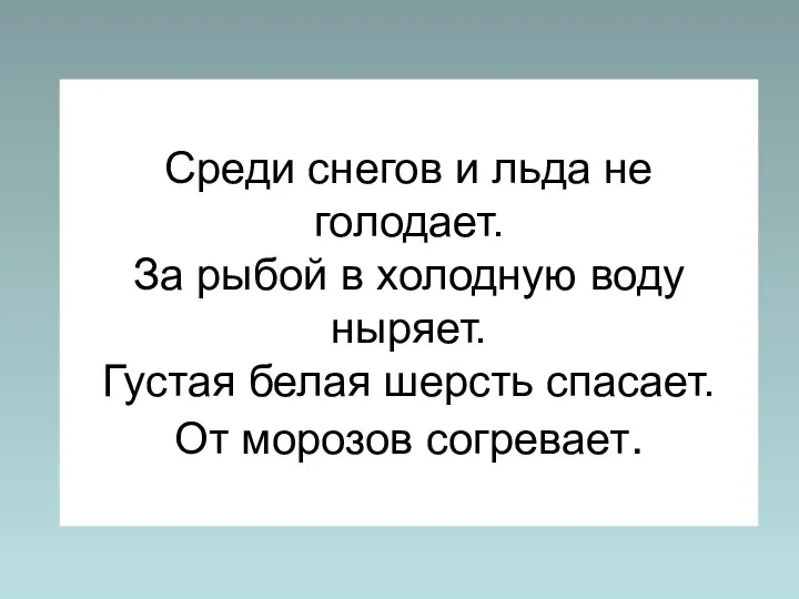 Среди снегов и льда не голодает. За рыбой в холодную воду