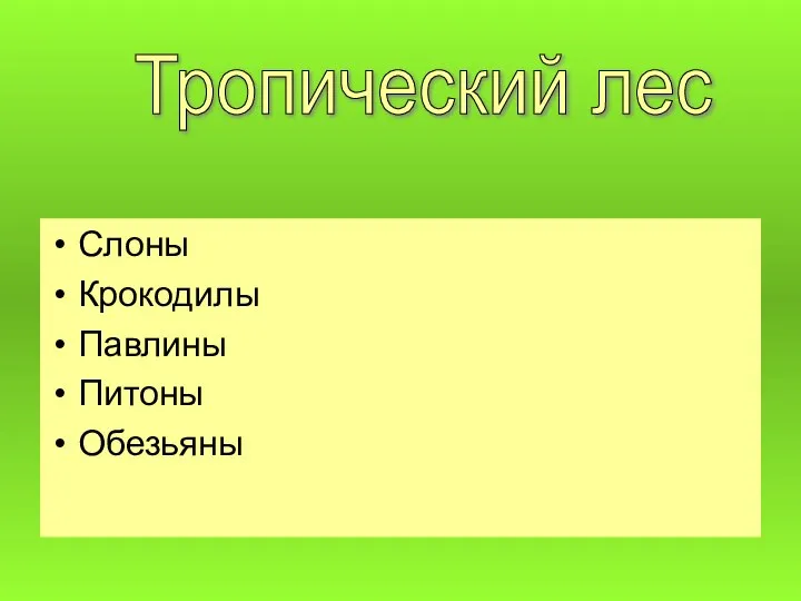 Слоны Крокодилы Павлины Питоны Обезьяны Тропический лес