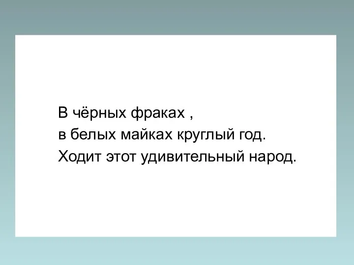 В чёрных фраках , в белых майках круглый год. Ходит этот удивительный народ.