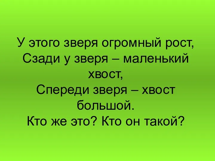 У этого зверя огромный рост, Сзади у зверя – маленький хвост,