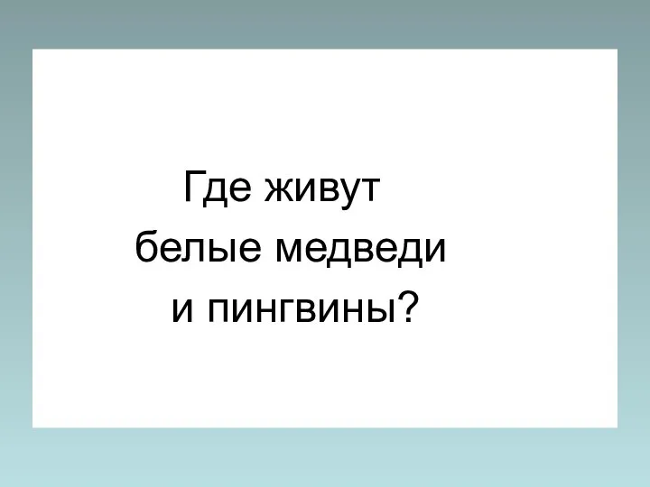 Где живут белые медведи и пингвины?