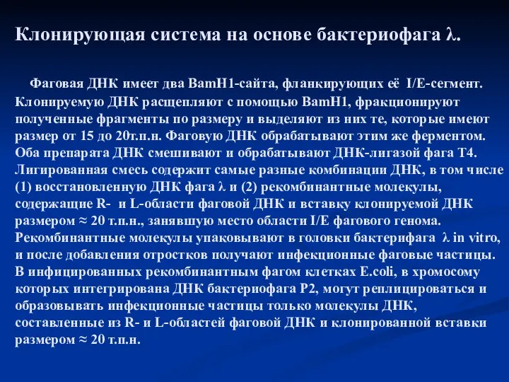 Клонирующая система на основе бактериофага λ. Фаговая ДНК имеет два BamH1-сайта,